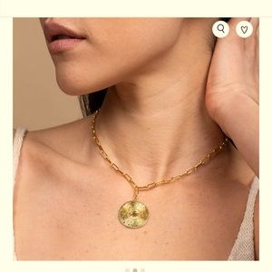 NWT Uncommon James Medallion Necklace